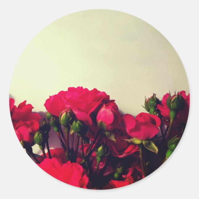 Adesivo Flores vivas e flores brilhantes rosas vermelhas (Frente)