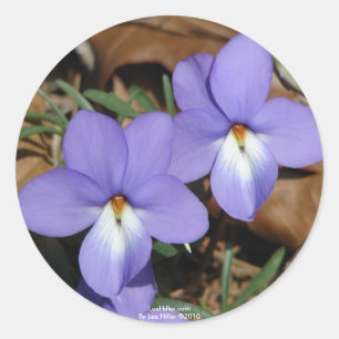Adesivo FloresSilvestres Violeta Pata de Pássaro III Prese