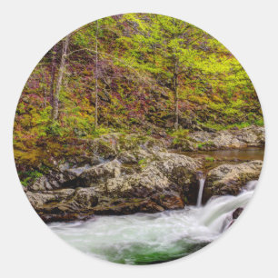 Adesivo Floresta do riacho nas Grandes Montanhas Fumegante