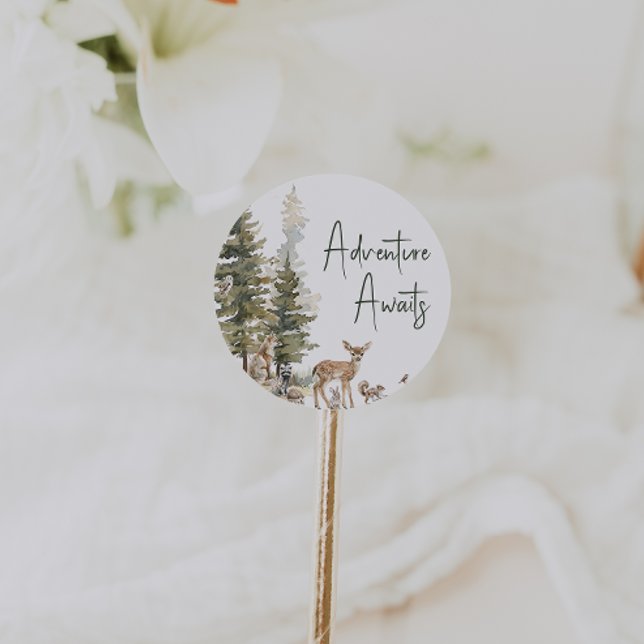 Adesivo Floresta Florestal Animais Aventura Aguarda Favor (Criador carregado)