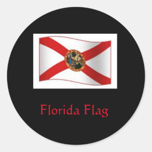 Adesivo Flórida Flag Sticker