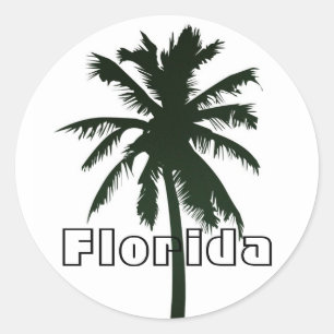 Adesivo Florida, palmeira preta