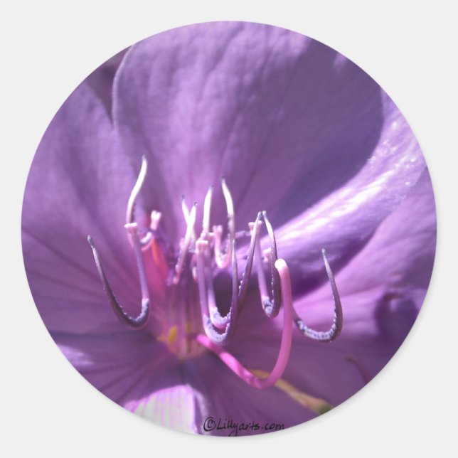 Adesivo Flower Envelope Selo Violet (Frente)