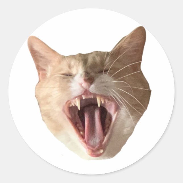 Adesivo Floyd Sticker - Com Boca Aberta! (Frente)