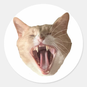 Adesivo Floyd Sticker - Com Boca Aberta!