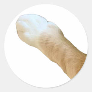 Adesivo Floyd Sticker - Pata!