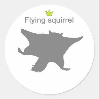 Adesivo Flying squirrel g5
