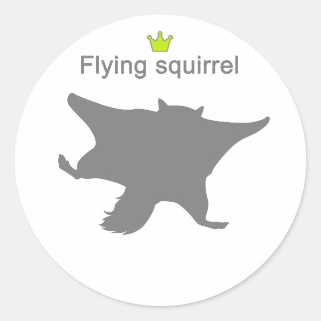 Adesivo Flying squirrel g5 (Frente)