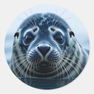 Adesivo Foca Fofa de Perto