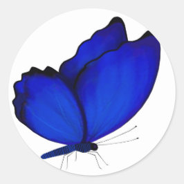 Adesivo Focas de Envelope Blue Butterfly