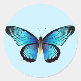 Adesivo Focas de Envelope Blue Butterfly