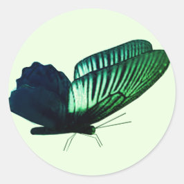 Adesivo Focas de Envelope de Borboleta Verde