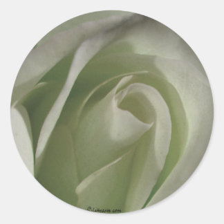 Adesivo Foco de Envelope de Casamento Rosa cinza