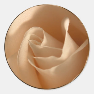 Adesivo Foco de Envelope de Rosa de Creme Rustic