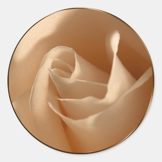 Adesivo Foco de Envelope de Rosa de Creme Rustic (Frente)