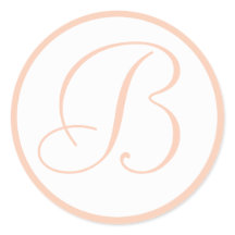 Focos de Envelope de Casamento Monograma e Branco