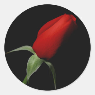 Adesivo Focos de Envelope de Convite RSVP de Casamento de