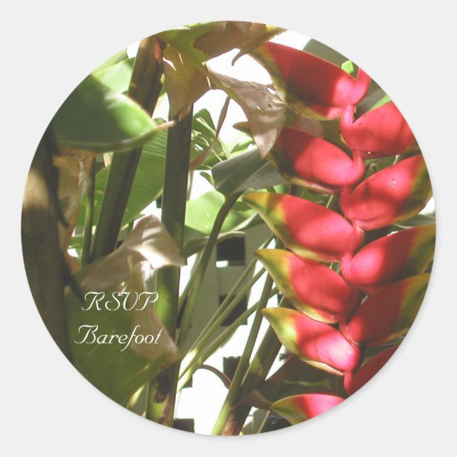 Adesivo Focos de Envelope Personalizados do Flores para ca (Frente)