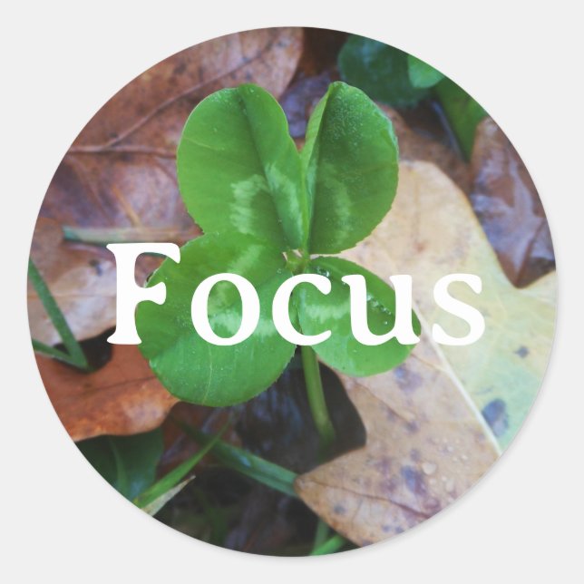 Adesivo Focus Porte-bonheur (Frente)