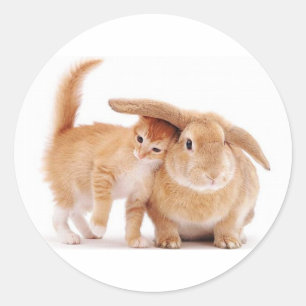 Adesivo fofo_engraçado_animais_8 coelhos coelhos coelhos 