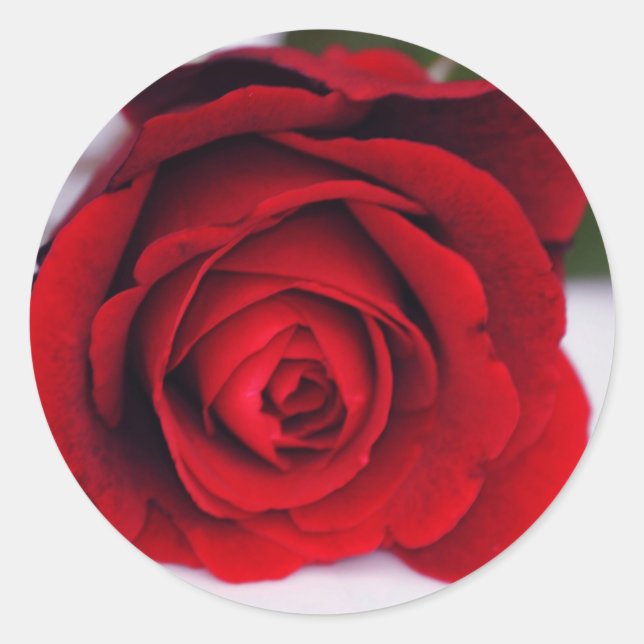 Adesivo Fogo Velvet (Frente)