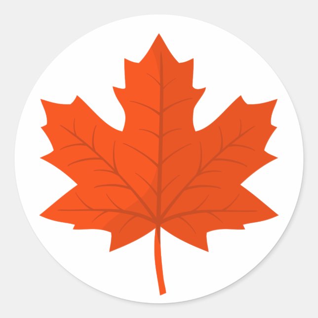 Adesivo Folha de Árvore Mapeadora Laranja Canadiana (Frente)