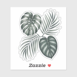Adesivo Folha de Calathea