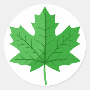 Adesivo Folha de Caracteres Verde