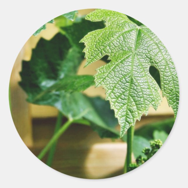 Adesivo Folha de Grama Verde (Frente)