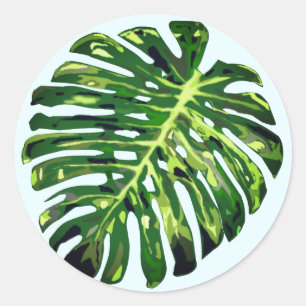 Adesivo Folha de Monstera Tropical - Exótica -