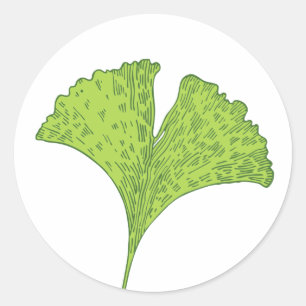 Adesivo Folha do Gingko