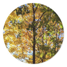 Folhagem Amarelo e Verde