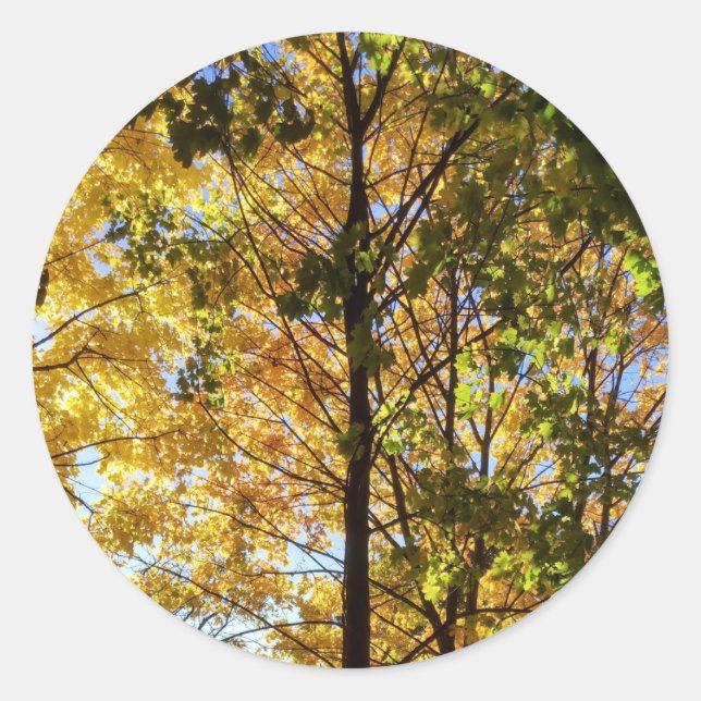 Adesivo Folhagem Amarelo e Verde (Frente)