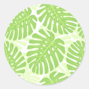 Adesivo Folhas da planta tropical - teste padrão de