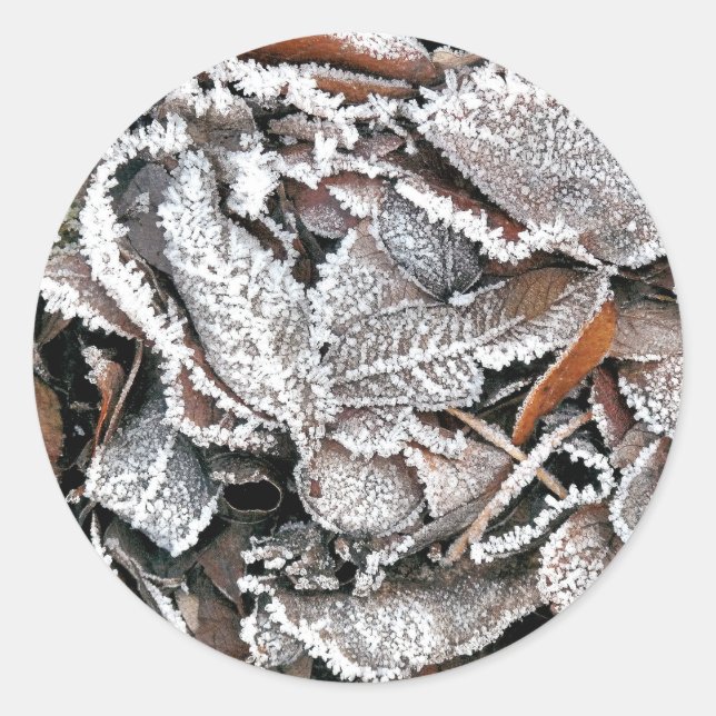 ADESIVO FOLHAS DE INVERNO (Frente)