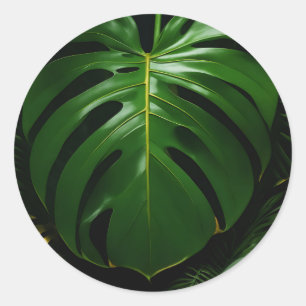 Adesivo Folhas de Monstera Dourado Glamour da Selva