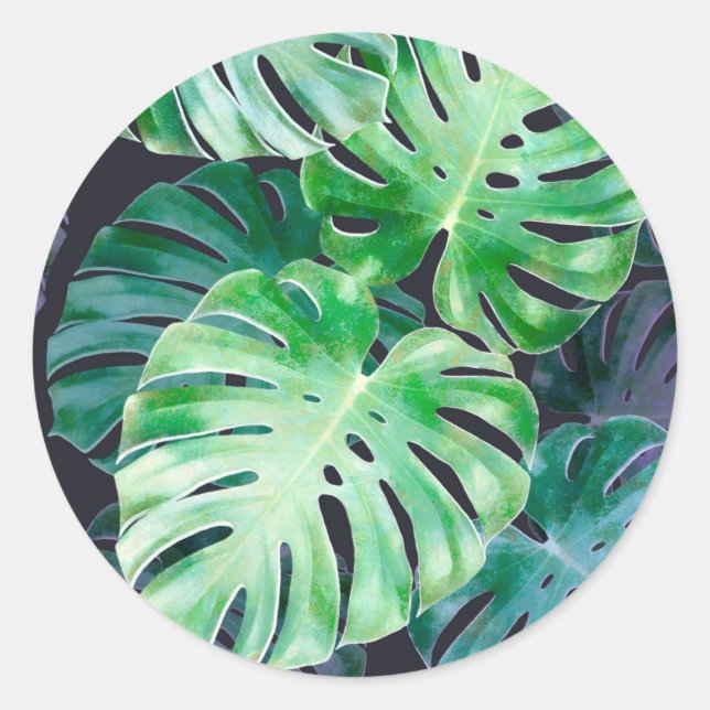 Adesivo Folhas de Monstera Tropicais (Frente)