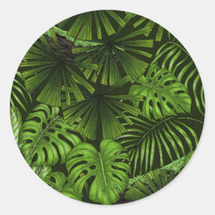 Adesivo Folhas de selva