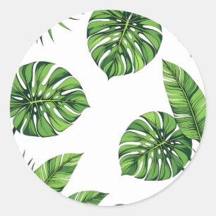 Adesivo Folhas Tropicais de Monstera Padrão Sem Costura Ve