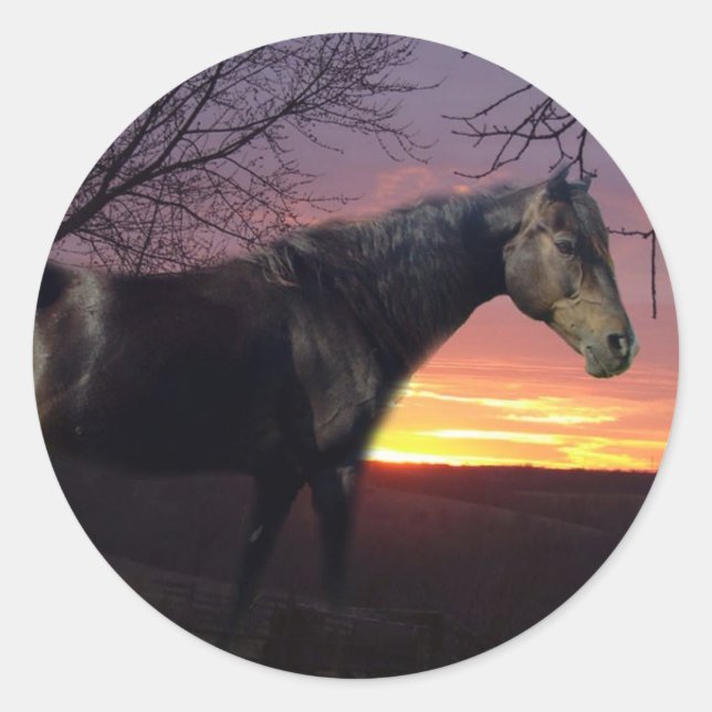 Adesivo ForeverMorgãos Cavalo Negro em Roxo (Frente)