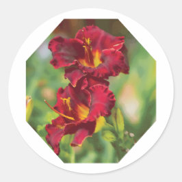 Adesivo Forma de Flor Vermelho e Amarelo