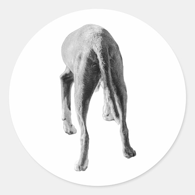 Adesivo Forma e Fluxo (Frente)