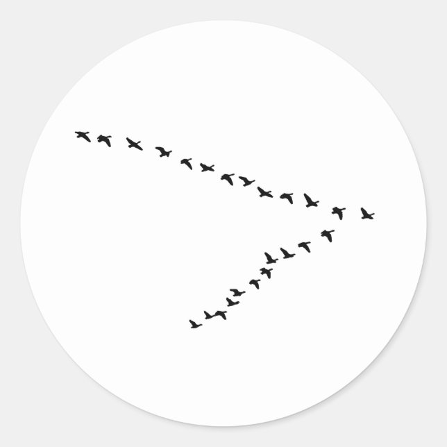 Adesivo Formação dos gansos "V" do vôo (Frente)