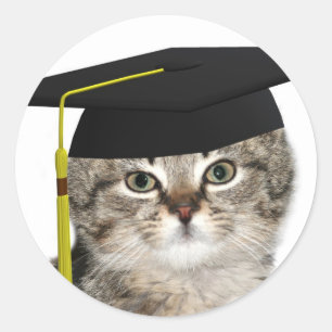Adesivo Formandos do gatinho