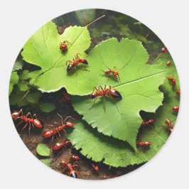 Adesivo formigas vermelhas