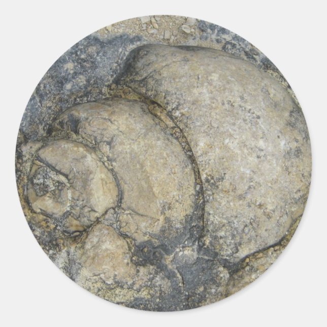 Adesivo Fóssil (Frente)