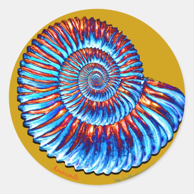 Adesivo fóssil de ammonite (Frente)