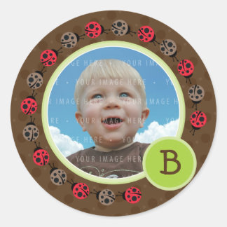 Adesivo FOTO: Círculo de aves de capoeira 3