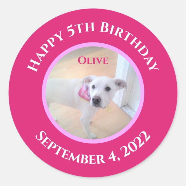 Adesivo Foto de cachorrinho adorável usando cachecol rosa  (Frente)