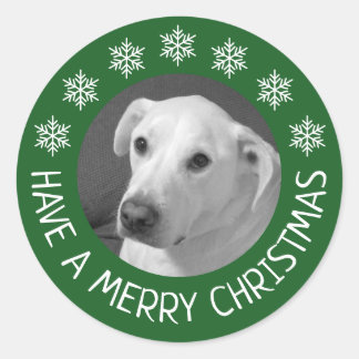 Adesivo Foto de Cachorro Branco Pacífico Feliz Natal Verde